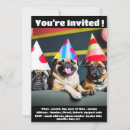 Suche nach pug Jede person