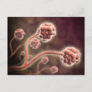 Suche nach dreidimensional postkarten Horizontal