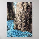 Suche nach baumstamm poster Für alle