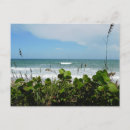 Suche nach surfer foto postkarten Fotografie