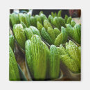 Suche nach melonen magnete Jede person