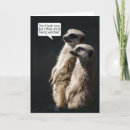Suche nach mekka karten Meerkat