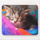 Suche nach schlafend mousepads Süß