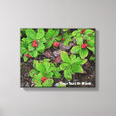 Suche nach beeren leinwandbilder Natur