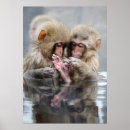 Suche nach heiße quellen poster Reflexion