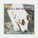 Suche nach zäh magnete Niedlich