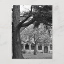 Suche nach ein baum postkarten Park