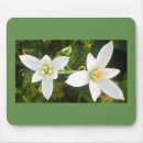 Suche nach weiße blüten mousepads Farbe