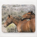 Suche nach berühren mousepads Pferd