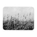 Suche nach dünen magnete Landschaft