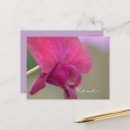 Suche nach orchideen foto postkarten Für alle