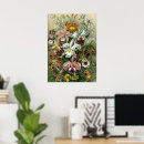Suche nach regenwälder poster Orchideen