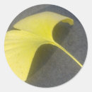 Suche nach ginkgo aufkleber Herbst