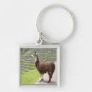 Suche nach lama schlüsselanhänger Alpaka