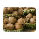 Suche nach kokosnuss magnete Tropisch