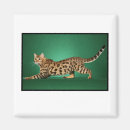Suche nach bengalische katze magnete Wild
