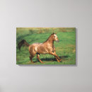 Suche nach appaloosa leinwandbilder Langriss