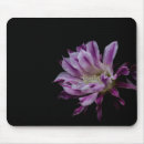 Suche nach blühender kaktus mousepads Blume