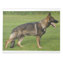 Suche nach deutsche notizblock Deutscher schäferhund