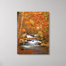 Suche nach orange blätter leinwandbilder Herbst