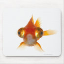 Suche nach großes auge mousepads Tier