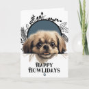 Suche nach pekinese Jede person