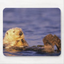 Suche nach seeotter mousepads Süß