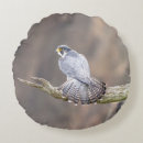 Suche nach falcon kissen Für alle