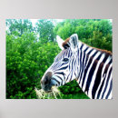 Suche nach zoo animal poster Jungle