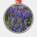 Suche nach lupinen ornamente Für alle