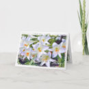 Suche nach lilium karten Für alle