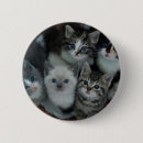 Suche nach tierthemen buttons Babytiere