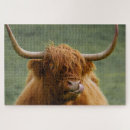 Suche nach highland cow puzzle Kuh