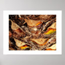 Suche nach brauner baum poster Kofferraum