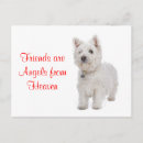 Suche nach westie postkarten Hund