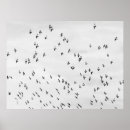 Suche nach schwarzer vogel poster Blau