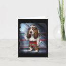 Suche nach kick boxer karten Boxleben