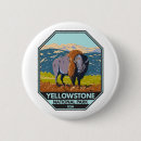Suche nach bison buttons Yellowstone nationalpark