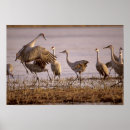 Suche nach platter poster Essen