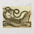 Suche nach merian postkarten Reptilien