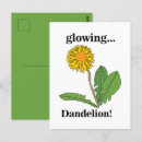 Suche nach dandelions postkarten Für sie