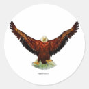 Suche nach fliegenadler aufkleber Für alle