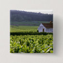 Suche nach weinberg buttons Ackerland