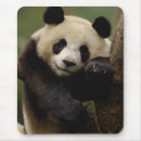 Suche nach großer panda mousepads Bambus