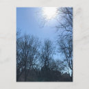 Suche nach sun postkarten Natur