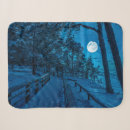 Suche nach winterlandschaft decken Wald