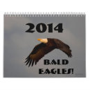 Suche nach weißkopfseeadler kalender Wild lebende tiere