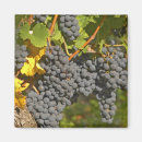 Suche nach merlot magnete Französisch