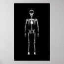 Suche nach skelett poster Grau