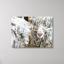 Suche nach ziegen leinwandbilder Niedlich